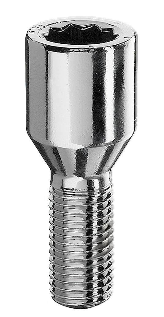 Radschraube Innenvielzahn M12x1,25x24mm silber