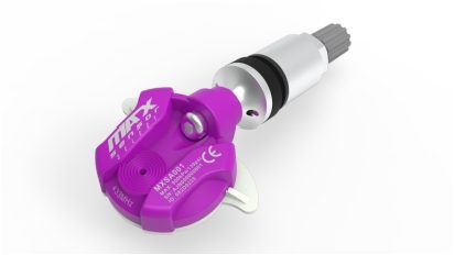 RDKS Sensor programmierbar inklusive Ventil Silber