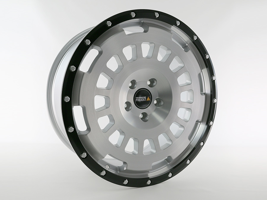 VW T5 T6 T6.1 TWIN-MONOTUBE-PROJEKT-AT20 9X20 ZOLL IN SILBER-GEBÜRSTET MIT ANFAHRSCHUTZRING